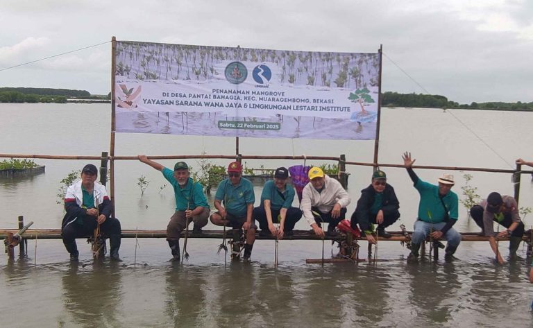 YSWJ Hijaukan Pantai Bahagia Muaragembong dengan Mangrove